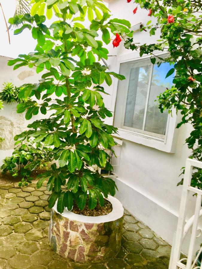 Residence Archange Pointe Noire Luaran gambar